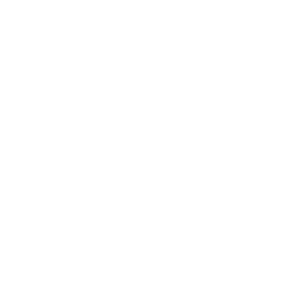 Via White logo